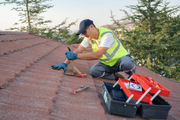 Best Storm Damage Roof Repair  in Riverside, AL