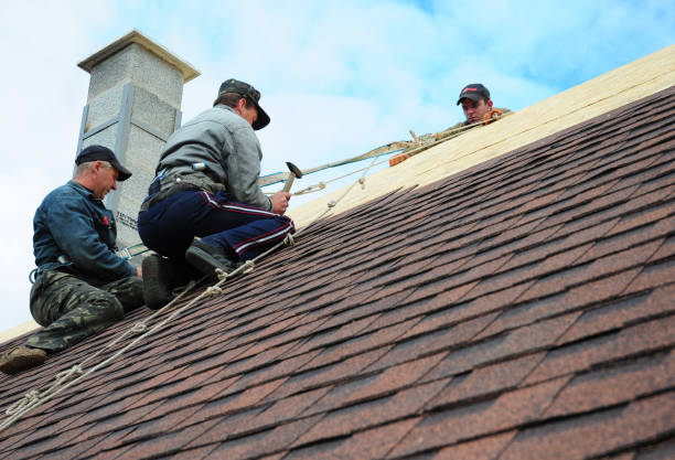 Roof Gutter Cleaning in Riverside, AL